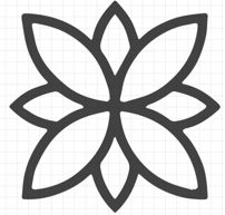 Action Passion Coaching